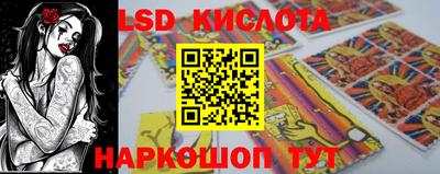 крисы Шелехов
