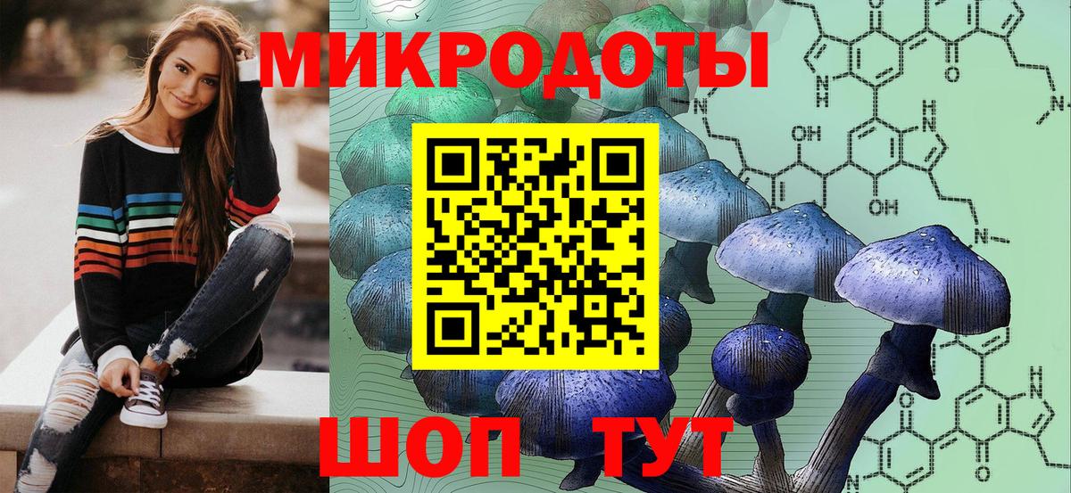Галлюциногенные грибы ЛСД Камень-на-Оби