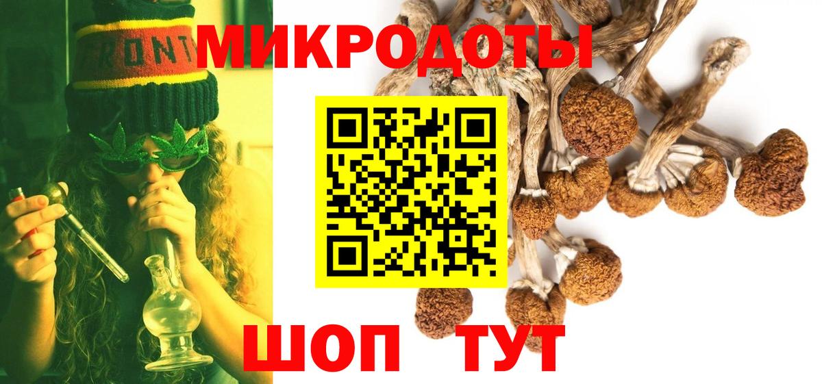 Галлюциногенные грибы Cubensis  Вход с VPN  Камень-на-Оби 